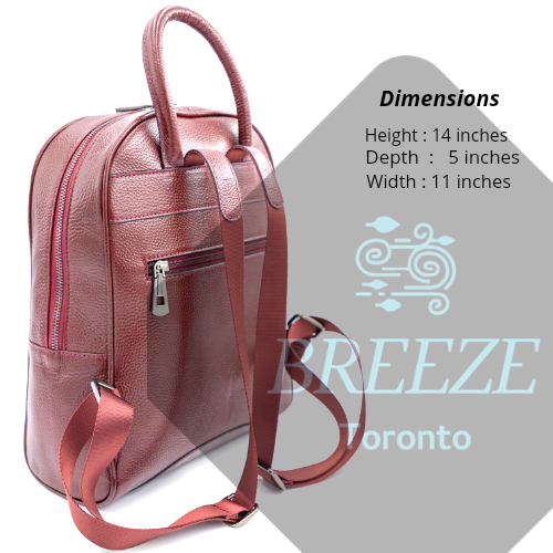 Leather Backpack